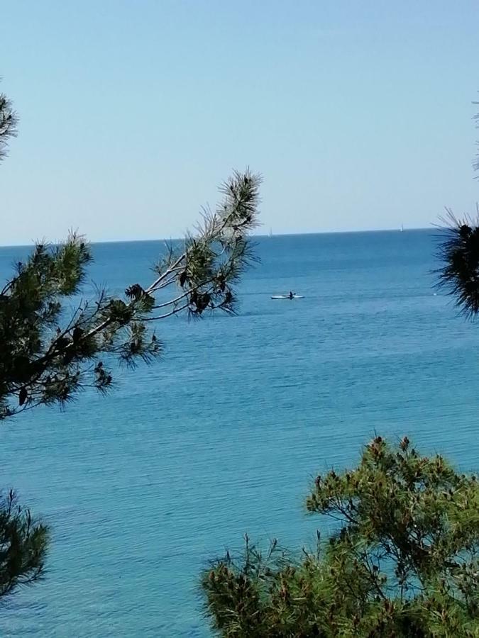 Jadranka Ivana Apartma Pula