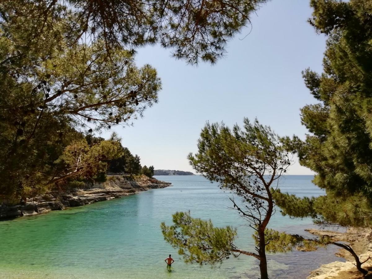 Jadranka Ivana Apartma Pula