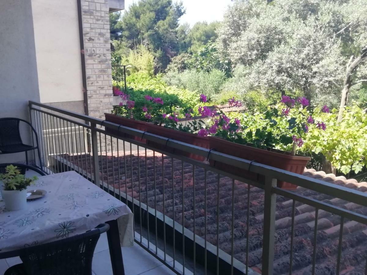 Jadranka Ivana Apartma *